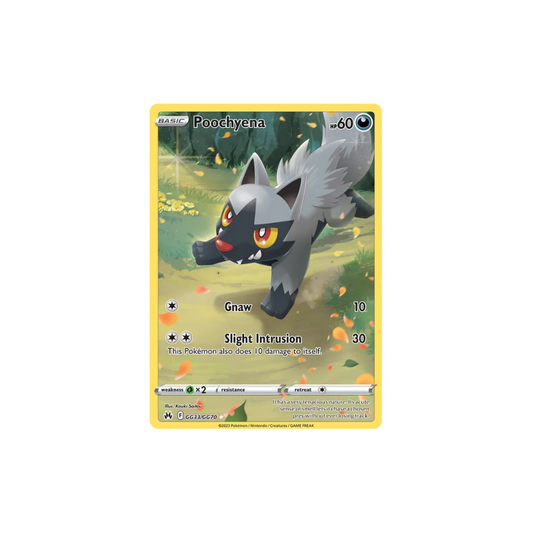 Poochyena Full Art Galarian Gallery Pokemon Card